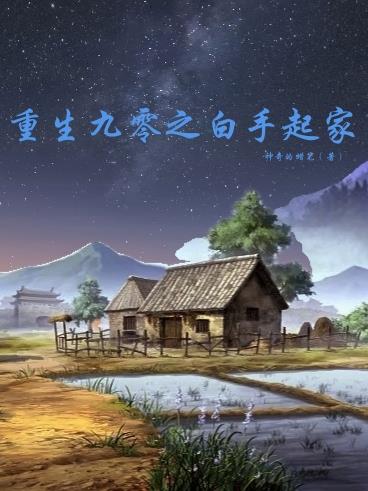 重生九零之白手起家